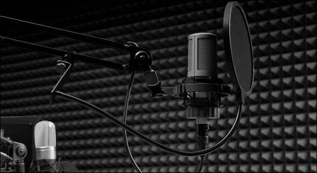DETAILS TO MAKE YOUR VOICEOVER AUDITION STAND OUT